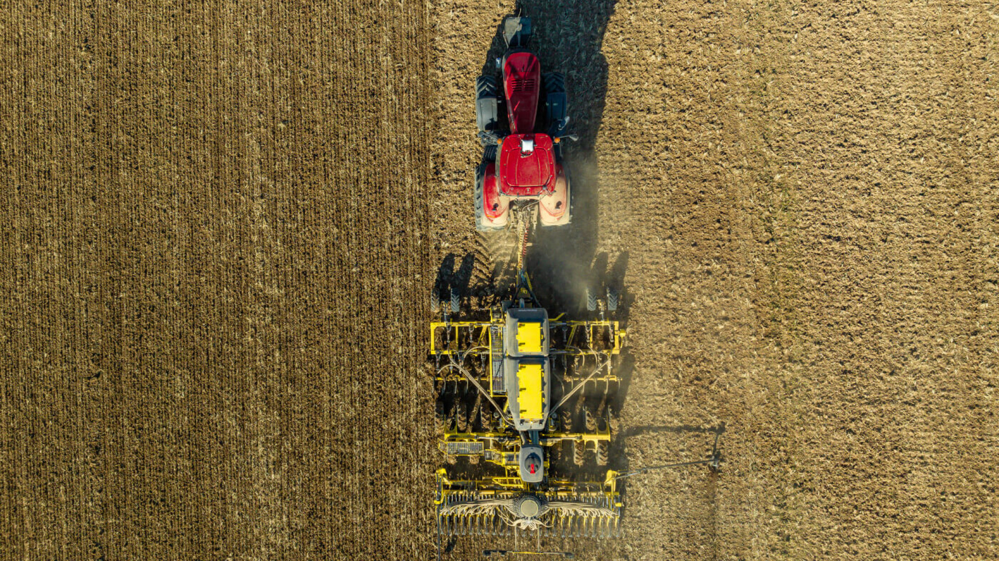 drill for planting canola strip till