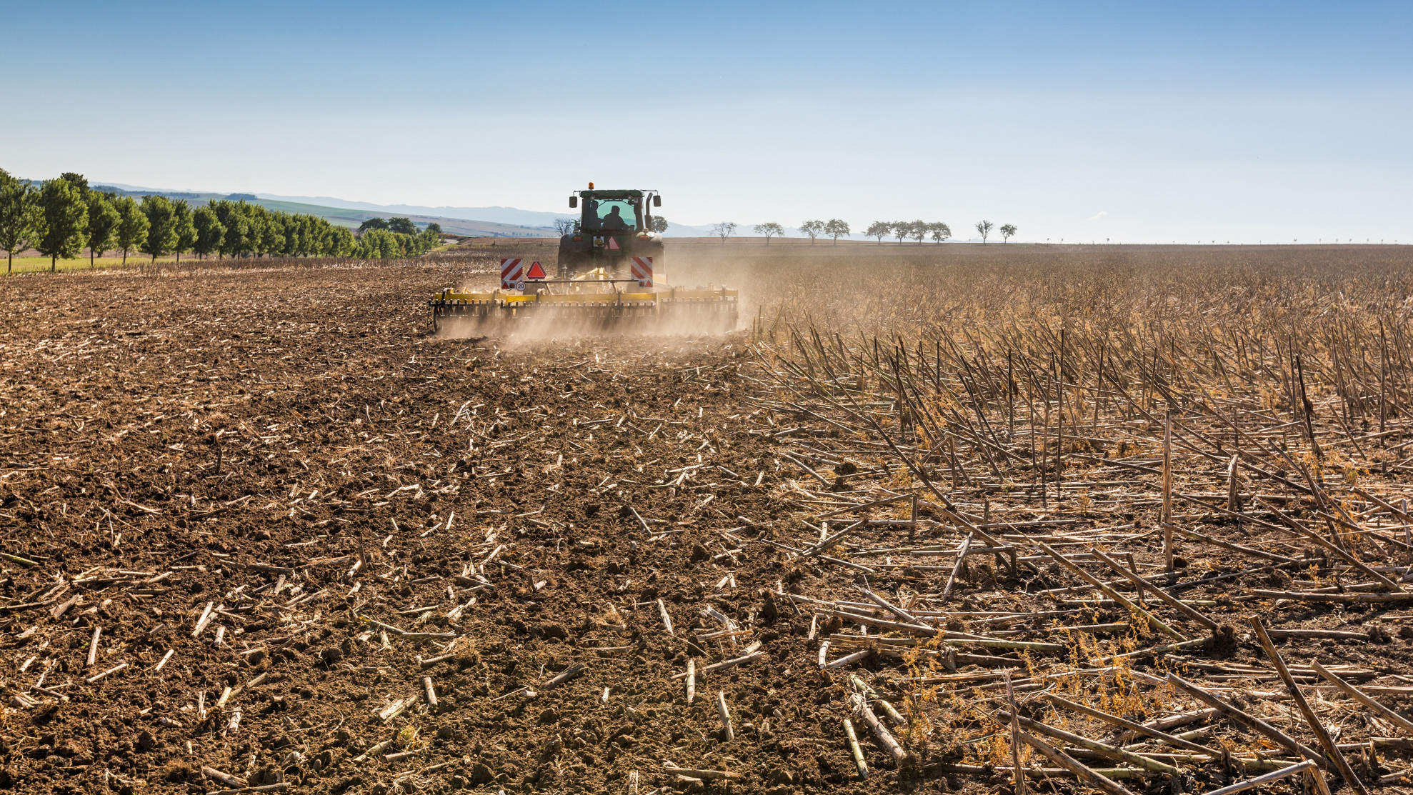 Дискування соняшника за один прохід катки