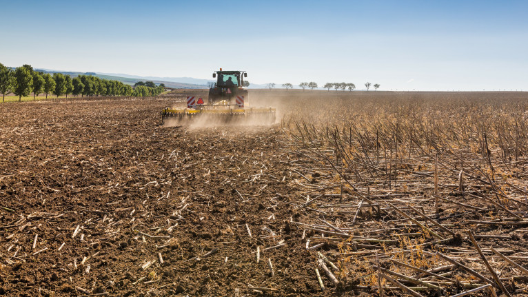 Дискування соняшника за один прохід катки
