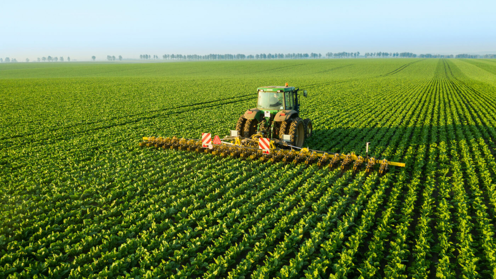 Культиватор з автоматичним веденням по рядках в посівах цукрового буряка