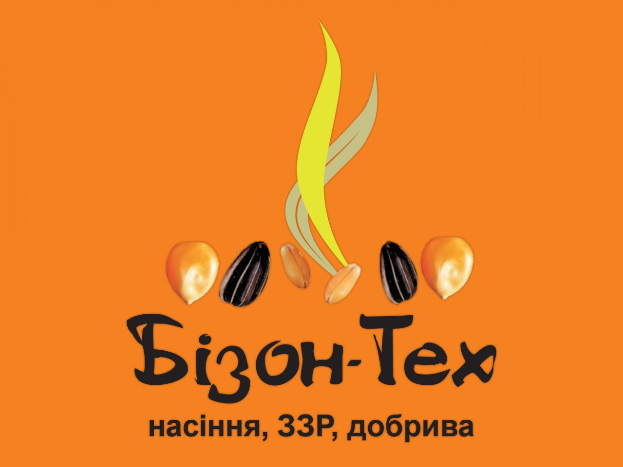 Создано ЧП "Бизон-Тех 2006"