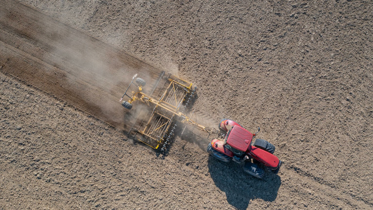 Cultivator for sugar beet